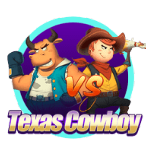 Texas Cowboy